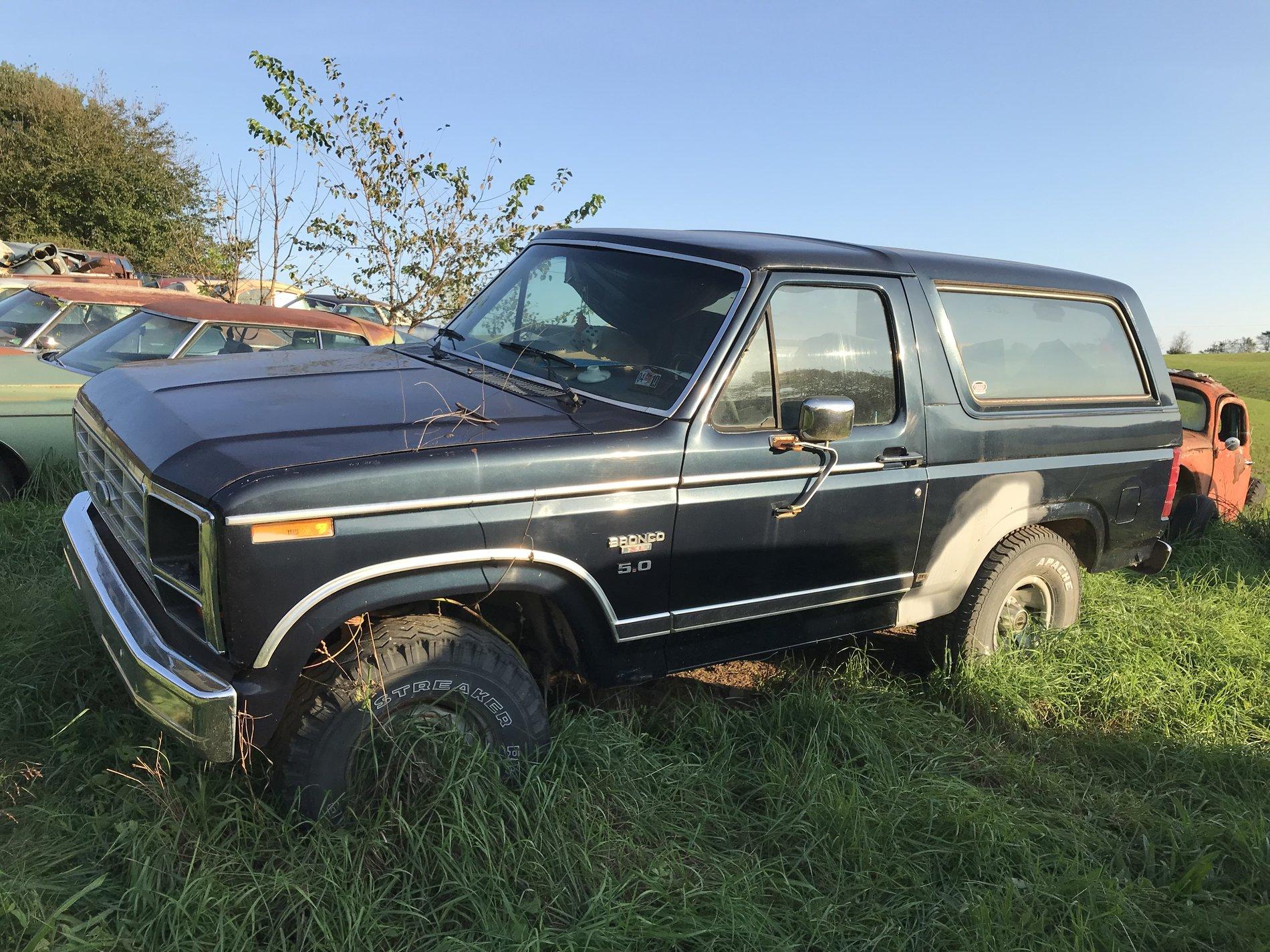 Ford Bronco what does everyone drive while waiting for their Broncos? 5A2961A6-B71D-4F42-85D8-5C7AE204BBAA
