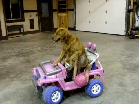 Ford Bronco How I feel not knowing Playboyshiredhand2