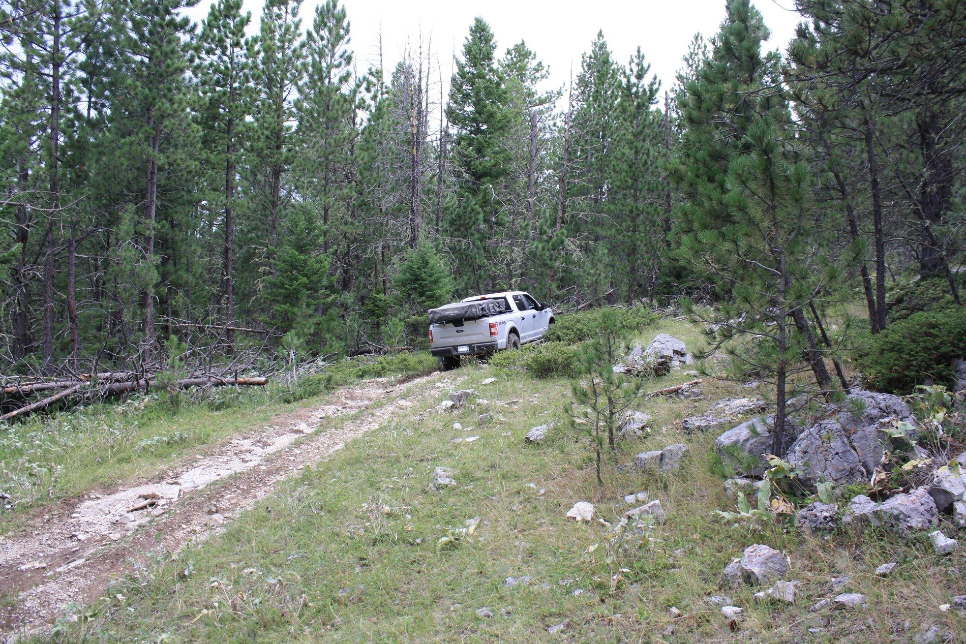IMG_2730.jpg