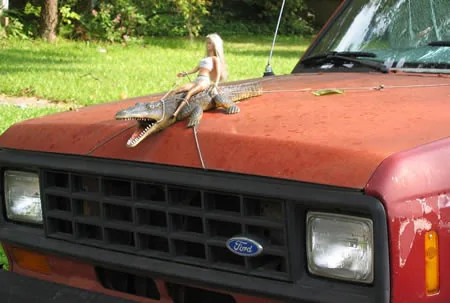 Ford Bronco Hood Loops (Accessory Points) 1594650047223