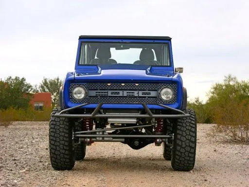 Raptor Bronco.jpg