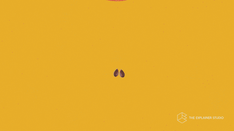 Ford Bronco Calling on Dealers to Commit to the Bronco Name Match Integrity Policy Animation Tree GIF