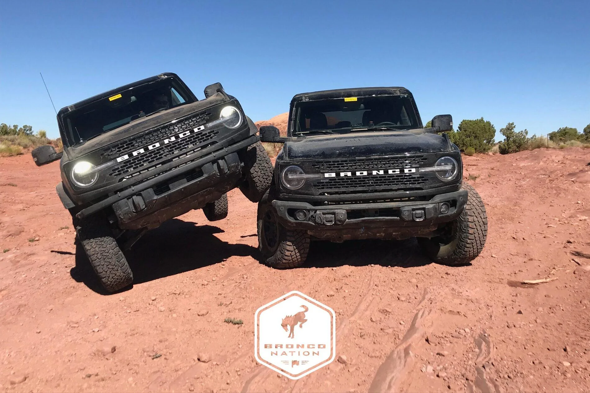 Ford Bronco Wildtrak Order.....Standard front bumper or Modular front bumper?! 2.3L Manual Sasquatch Package 2021 Bronco 1
