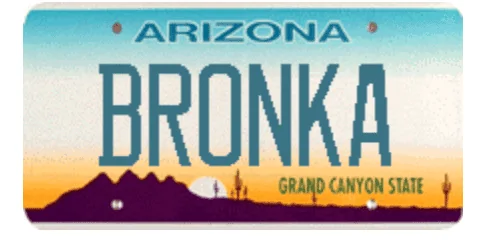 Ford Bronco Custom vanity license plate for Bronco? 1617130457544