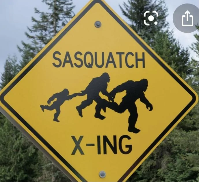Ford Bronco Ok, time to pull the trigger: Squatch or no? 7AD6F788-9516-4AF3-AE71-787DC25A8A19
