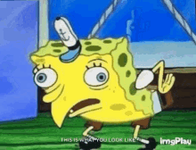 1617719240567.gif