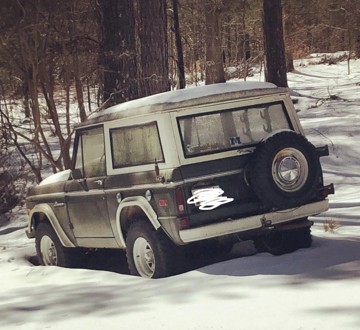 Ford Bronco Side Question: Hail Just Destroyed Our Car 9F5554B4-44AF-4D6A-A880-2D656F672233