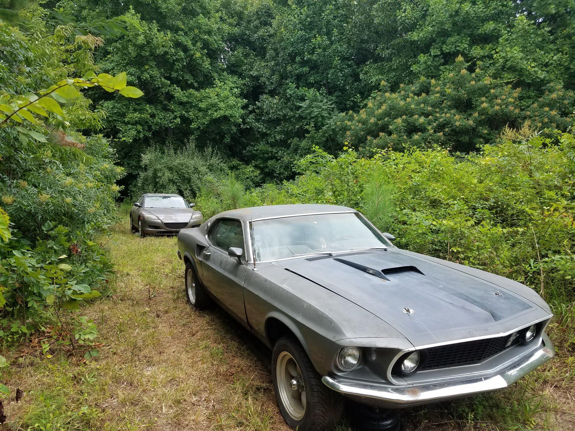 Ford Bronco Muscle Car Owners Poll 20180726_123209