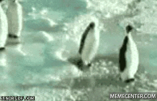 FE7CFBFB-0559-43E6-B4F0-E4EF952663F8.gif