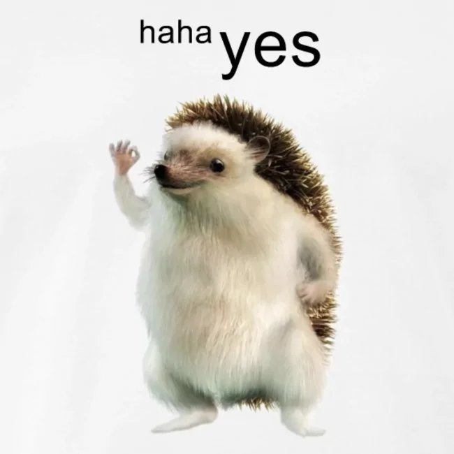 E1921ACD-DE1B-4B85-9724-215E78D3D2F0.jpeg