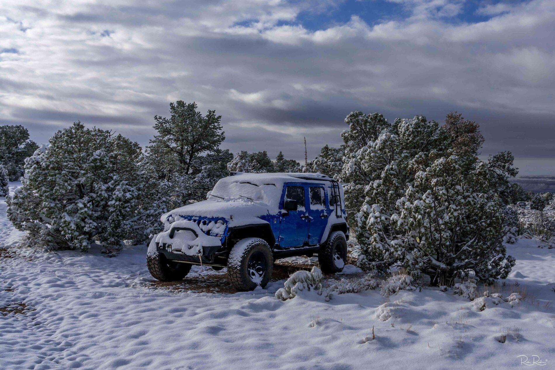 Ford Bronco Jeep Owner - Bronco Contemplating _DSC4012
