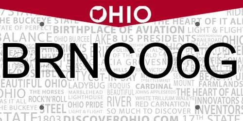 Ford Bronco Custom vanity license plate for Bronco? 1619746902864