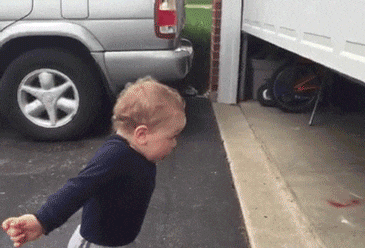 5D480FC0-D949-4A1C-AF59-78440413443C.gif