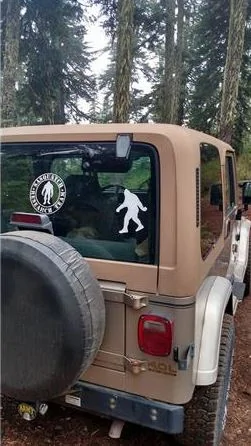 Ford Bronco Trying to be cool 22222