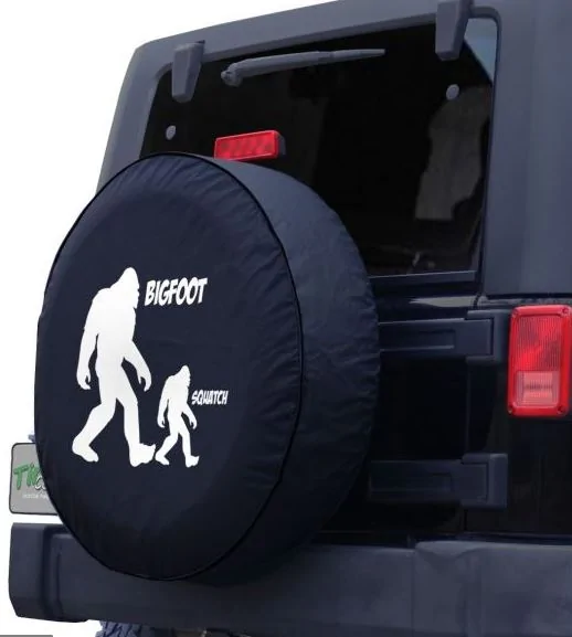 Ford Bronco Trying to be cool 33333