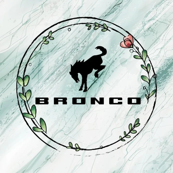 Ford Bronco Trying to be cool oie_FVen7yI3mOok