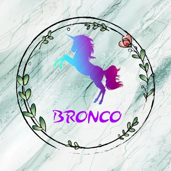 Ford Bronco Trying to be cool oie_7YbwXEp9N60G