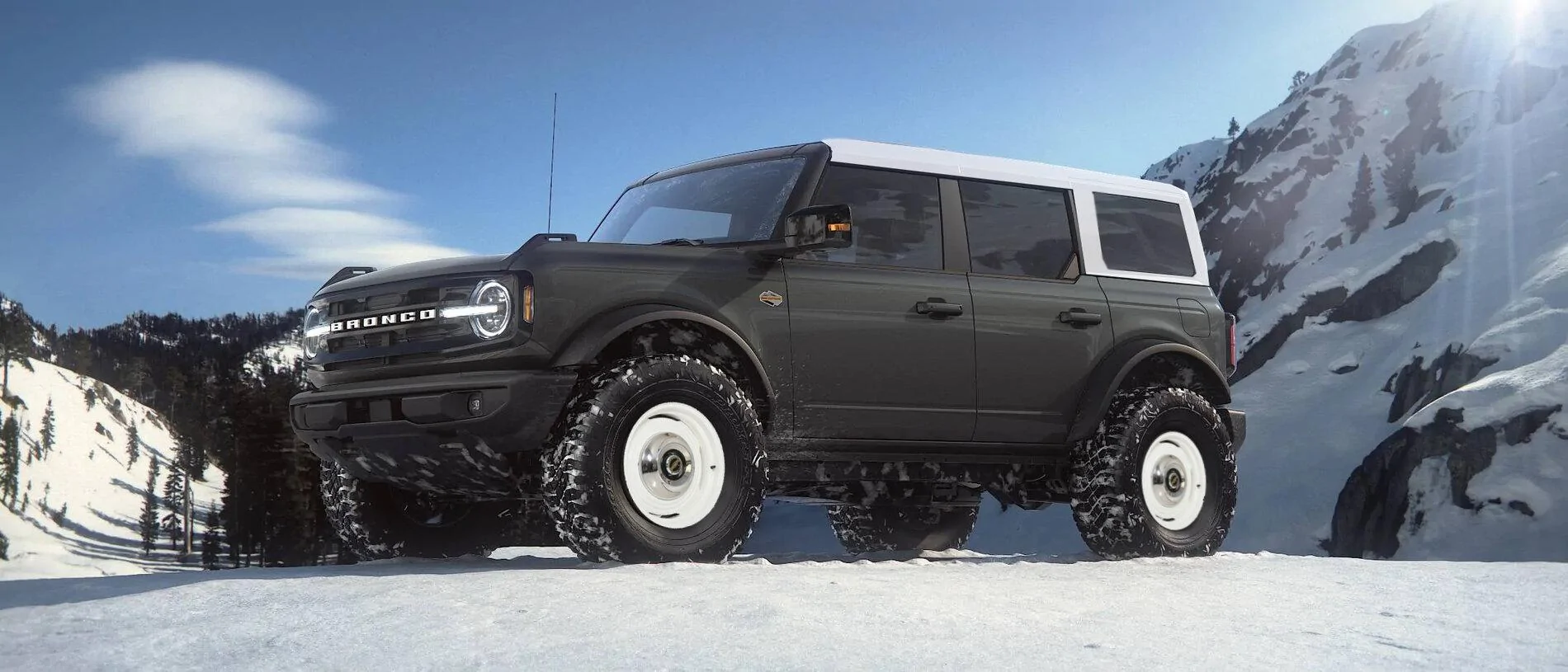 Ford Bronco Photoshop request - Dog-dish Hubcpas u725_21_carbonized_grey_env_2