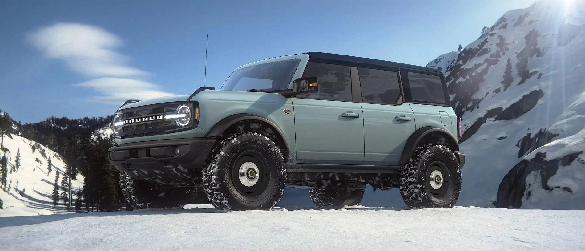 Ford Bronco Photoshop request - Dog-dish Hubcpas cactus Grey (1)