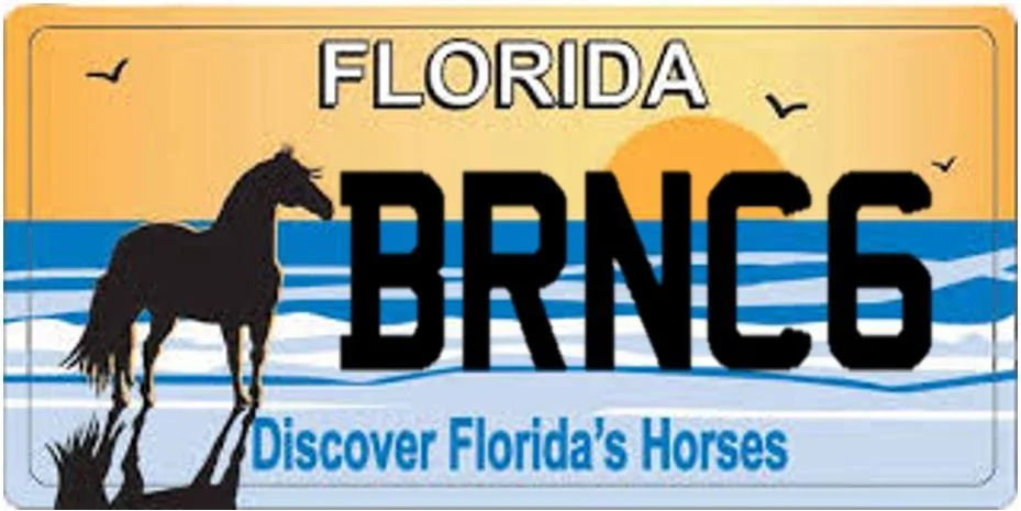 Ford Bronco Custom vanity license plate for Bronco? 0