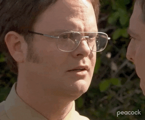 giphy (3).gif