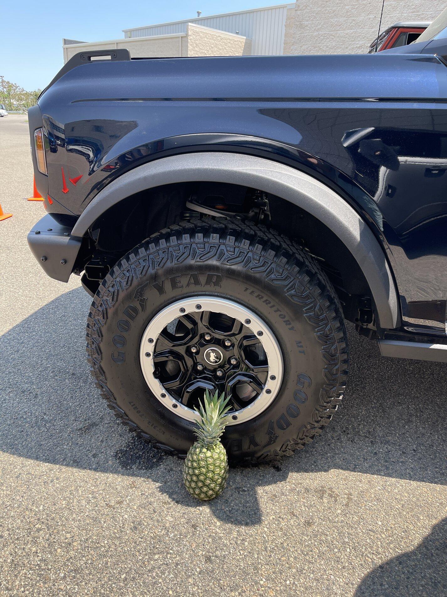 Ford Bronco 🍍 Pineapple For Scale IMG_3626