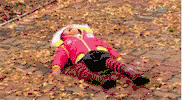 1622227493156.gif