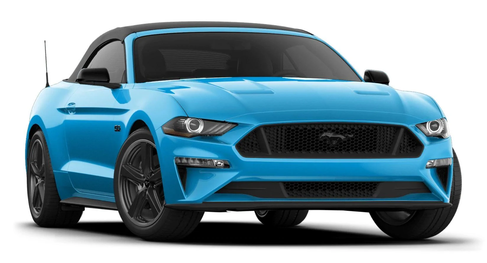 Mustang 1.JPG