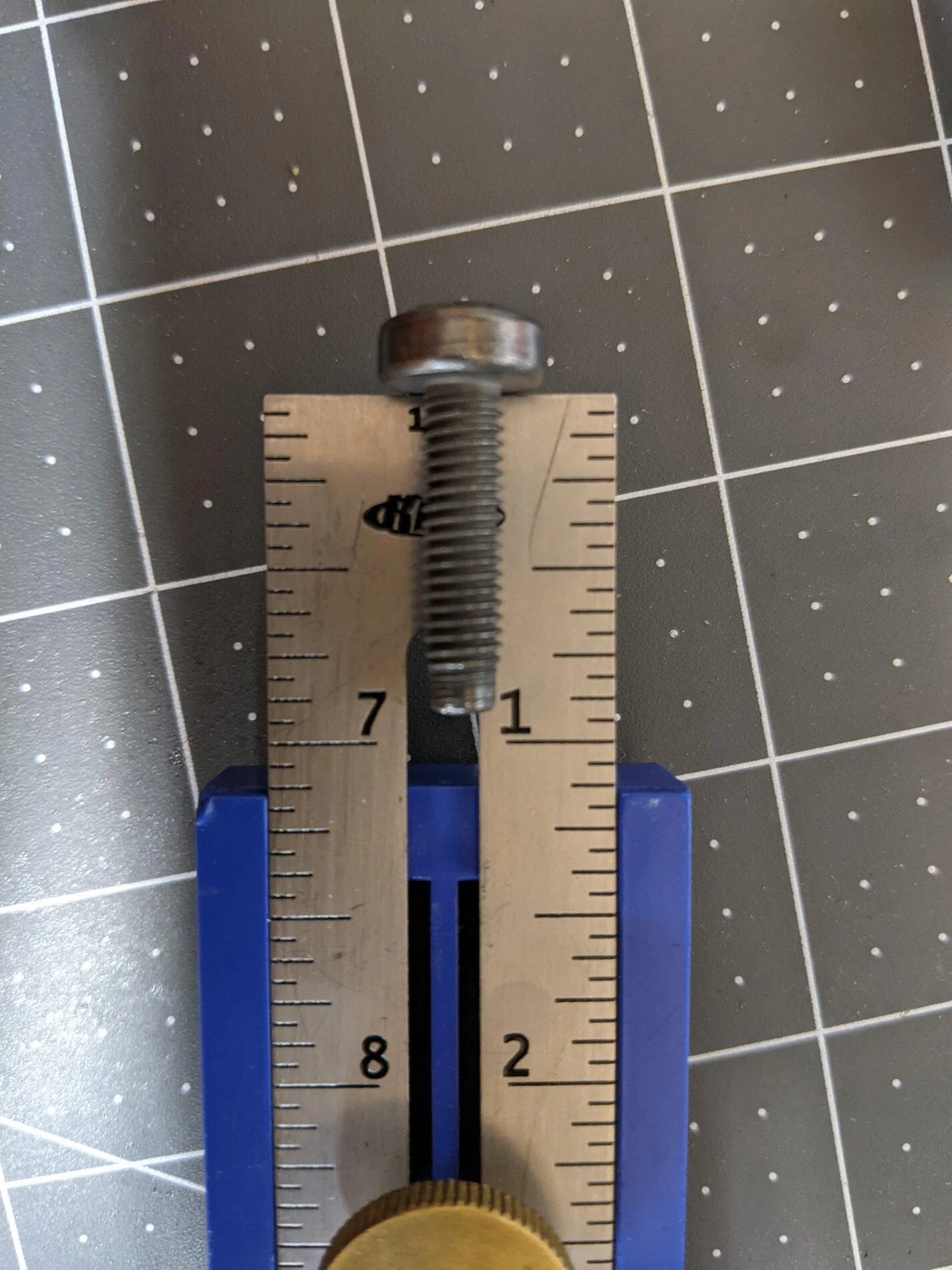 PXL_20210605_175541135.MP.jpg