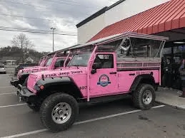 Ford Bronco "Fleet" Option 1595214399043