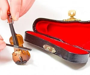 Ford Bronco Free Hardtop Prep Kit - FordPass Reward Points miniature-violin-300x250