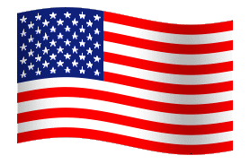 Ford Bronco Texas Members Roll Call Animated-Flag-USA