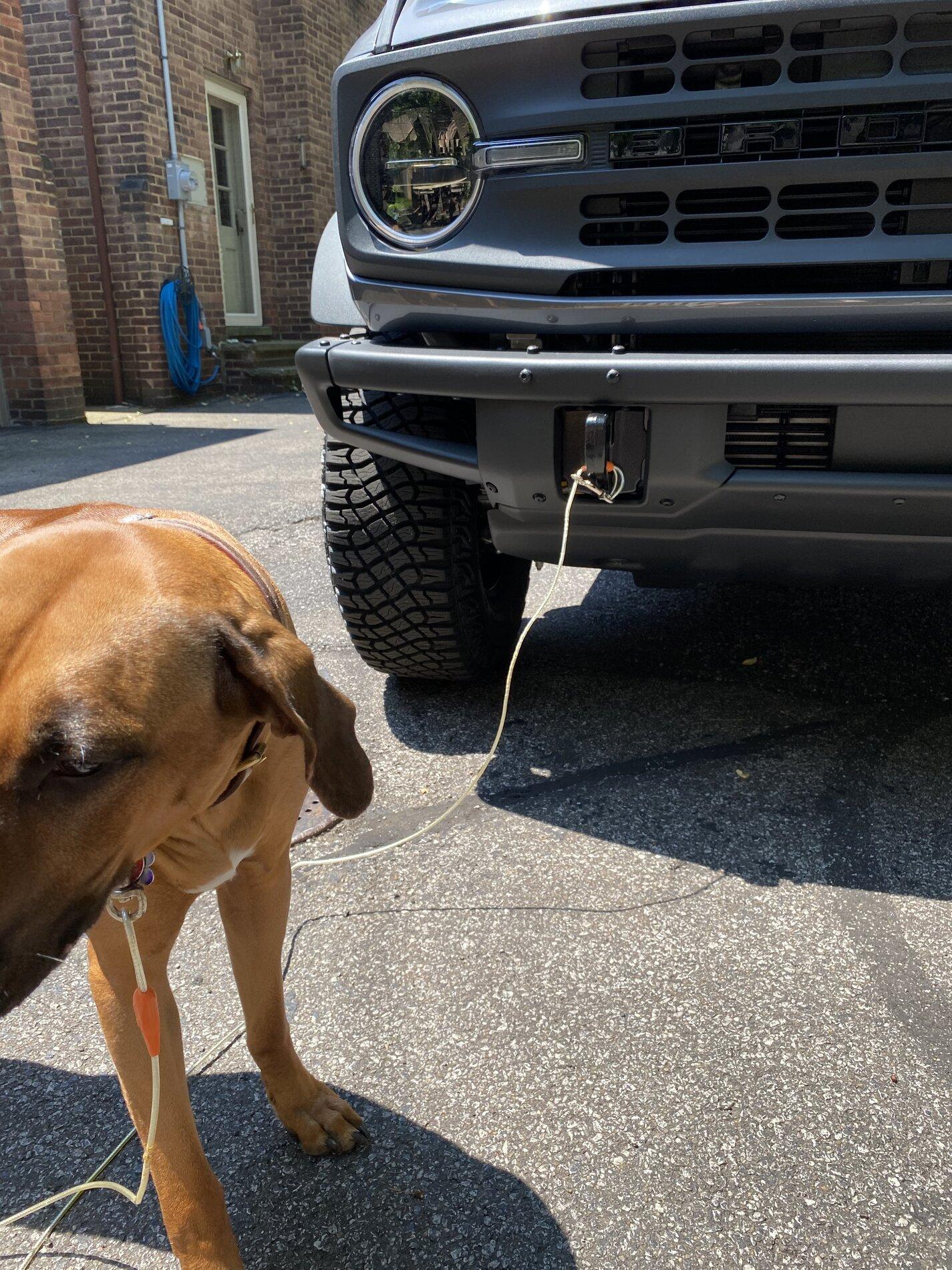 Ford Bronco BaseSquatch DELIVERED : 2 Door Base Sasquatch [UPDATE - NOW WITH MORE PICTURES & REVIEW] 0CFECA49-5E87-45EC-942E-1CB02ADA9A38