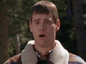 ipvj49q2pkqak7ws5cl6yto4kzv4n5rdp0mf14a1&rid=giphy.gif