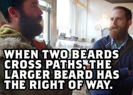 Ford Bronco Badlands: Sasquatch vs Un-Squatched when-two-beards-cross-paths-the-larger-beard-has-the-right-of-way-meme