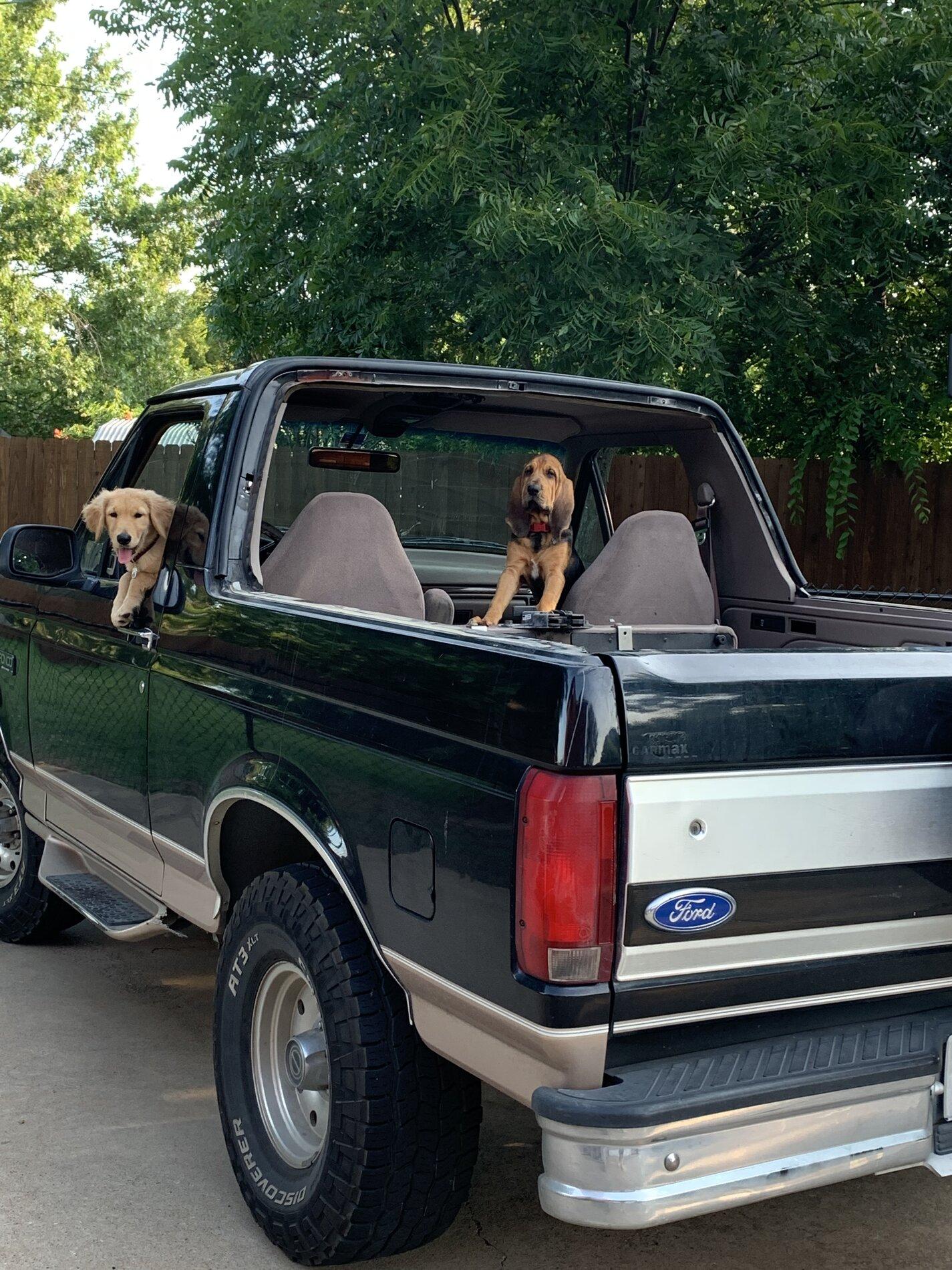 Ford Bronco Ford Communication E-Mails 0C889775-F825-40D9-9E26-7D2C70DE9A5F