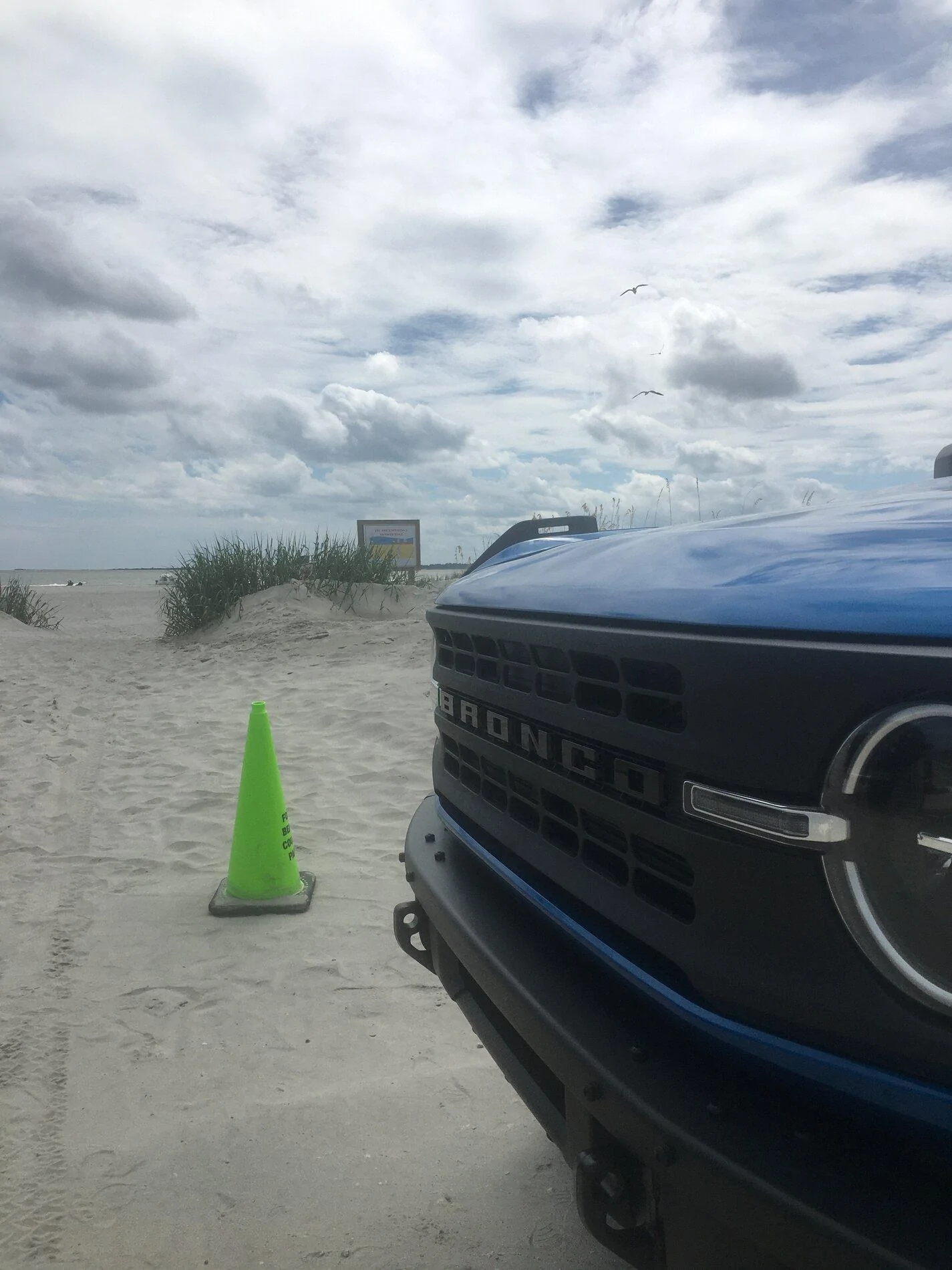 Ford Bronco VELOCITY BLUE Bronco Club GRILLE