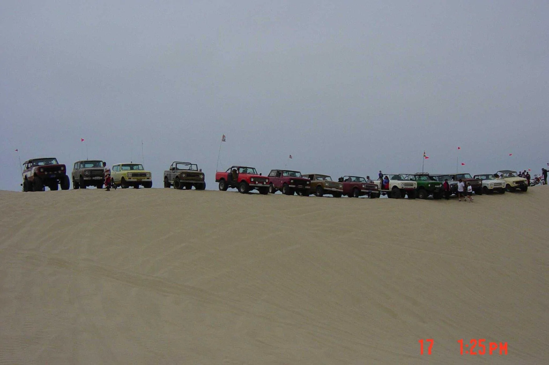 Ford Bronco Bronco VS 1979 Scout II Pismo Grou