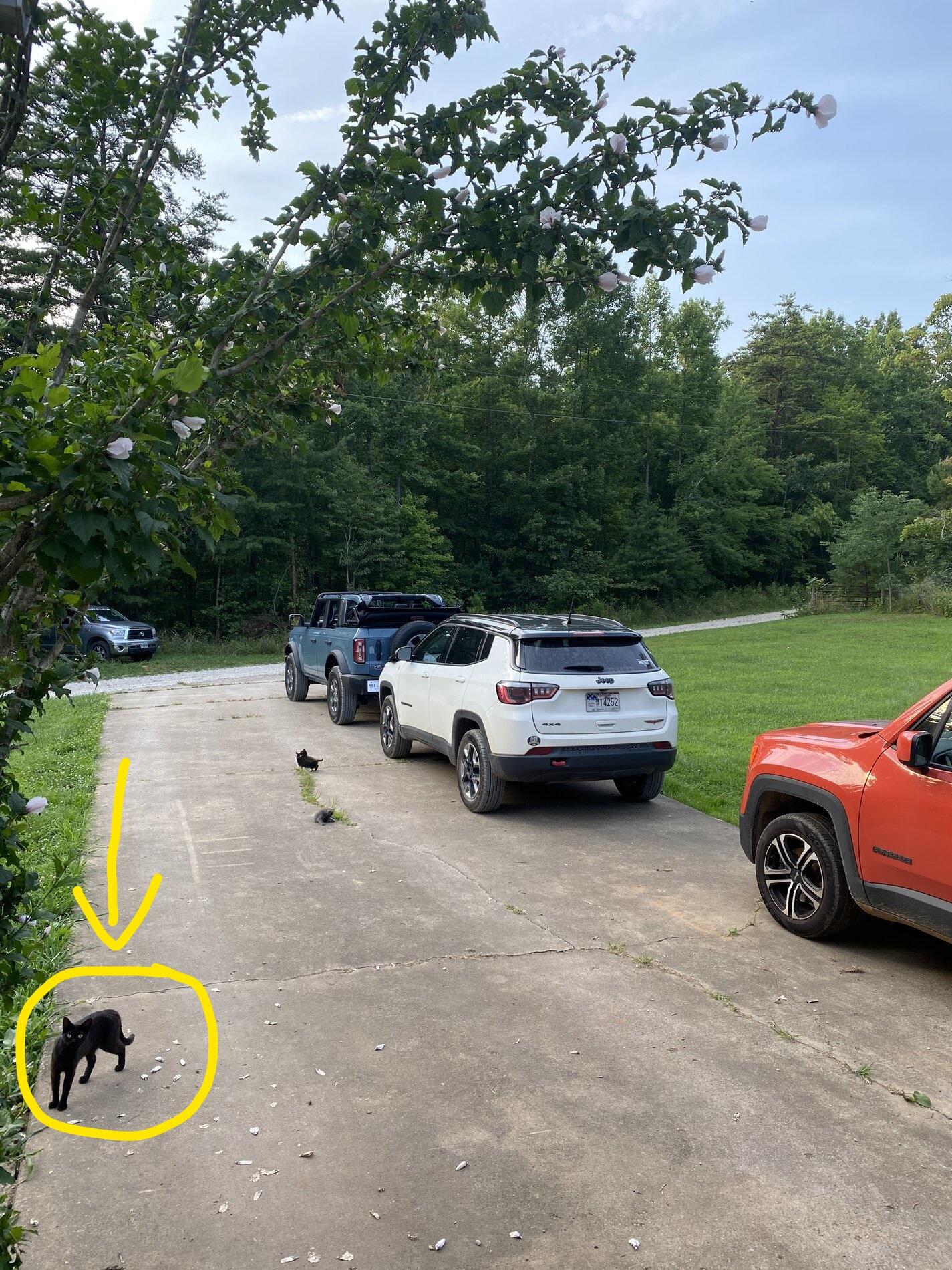 Ford Bronco Blessed to get BB in WV cc3