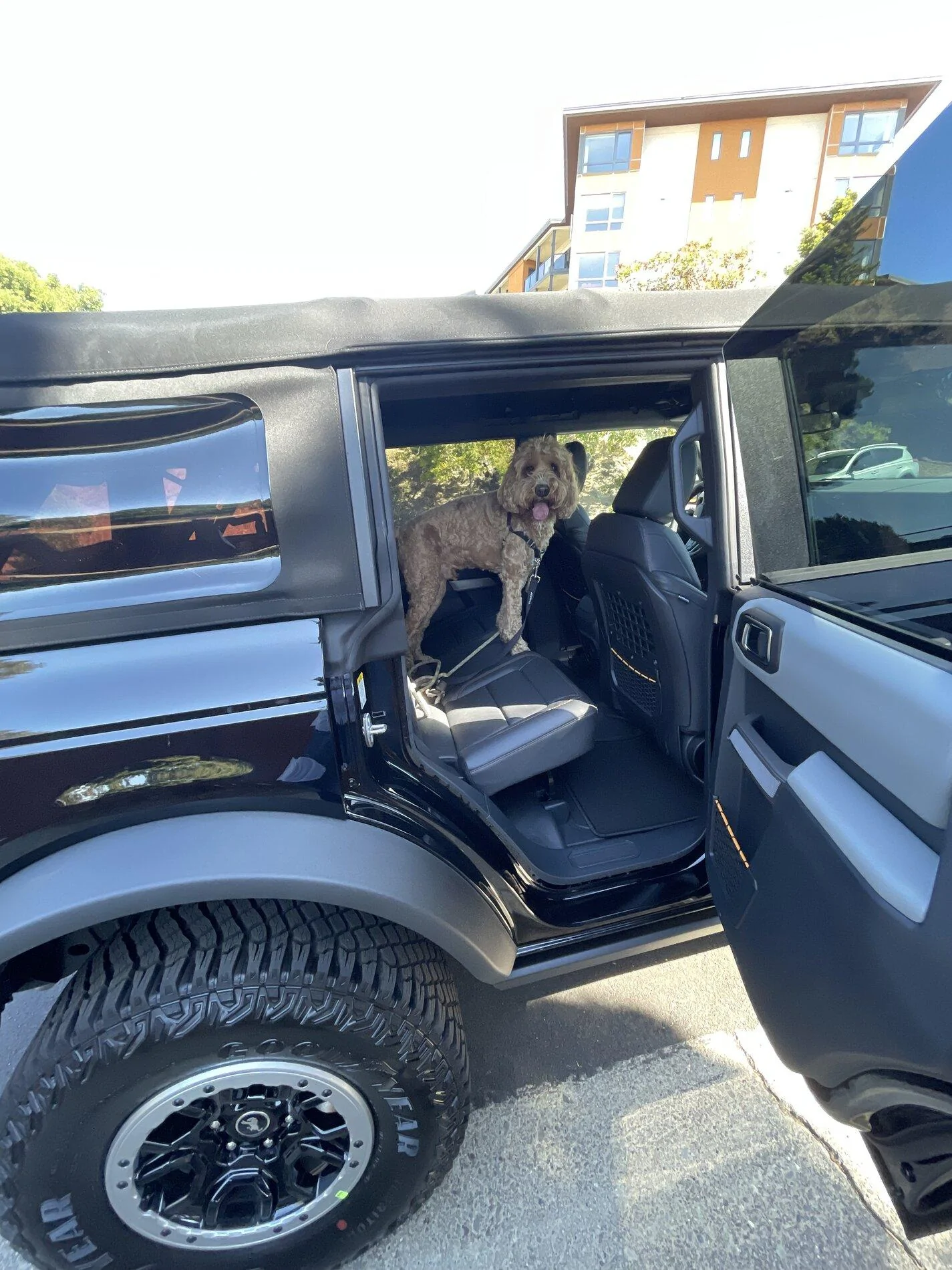 Ford Bronco Shadow Black Badlands Sasquatch w/ Lux DELIVERED. Impressions from former Jeep owner 8BC5F744-91A8-45CB-9ECF-485645D8EE45