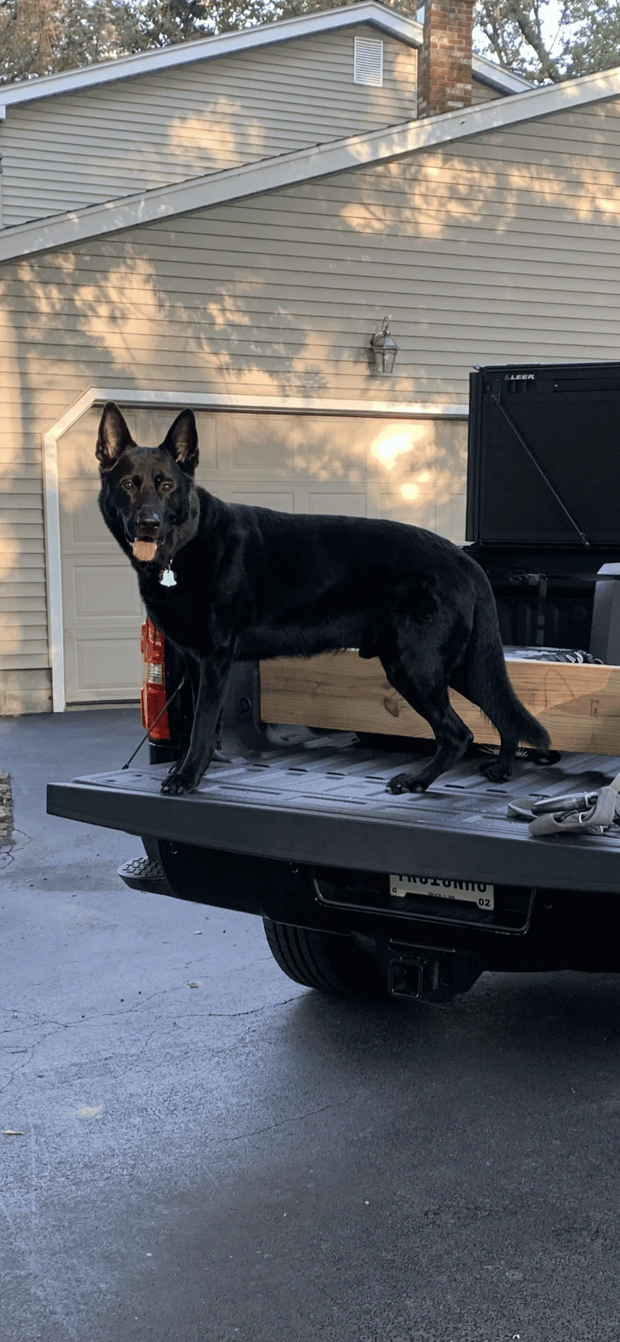 Ford Bronco The Dog Thread 🐾 D134BD4C-5EE7-46EC-983D-3E4A809C890D