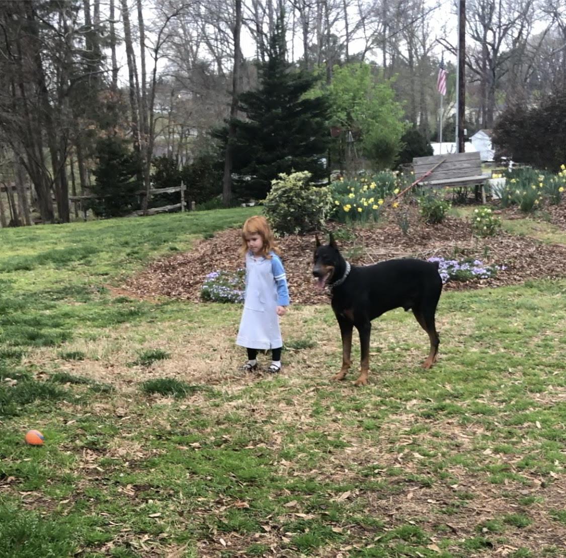 Ford Bronco The Dog Thread 🐾 unnamed (1)
