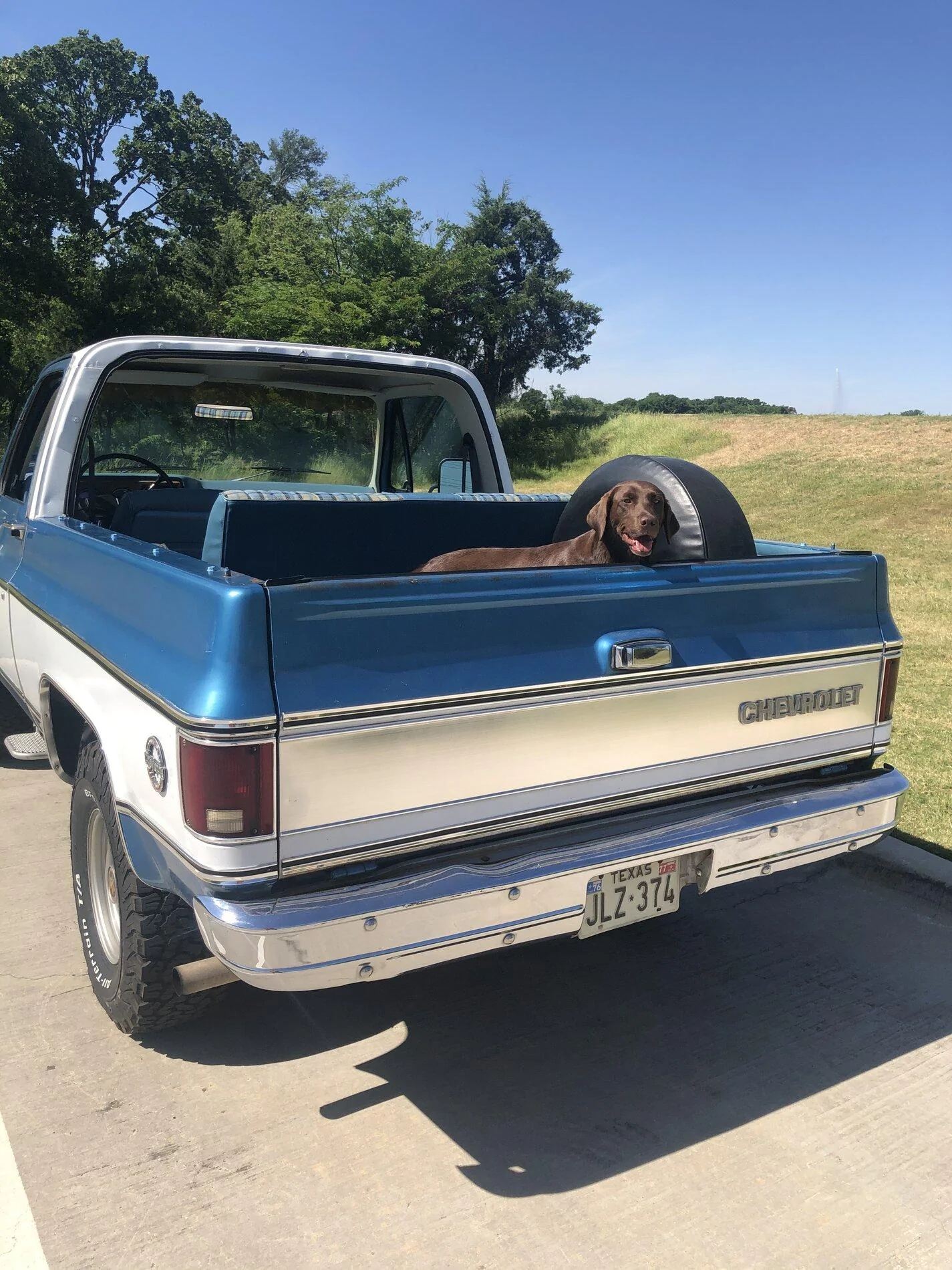 Ford Bronco The Dog Thread 🐾 FD1B2909-722F-4EEB-91F7-256F34B5D8C3