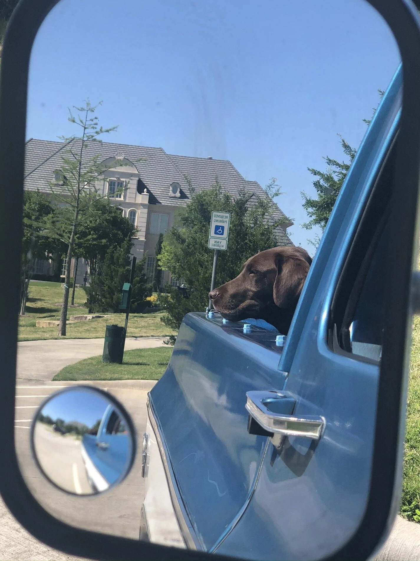 Ford Bronco The Dog Thread 🐾 6CD3403E-A47F-4C2A-A100-2227C02DC7A8