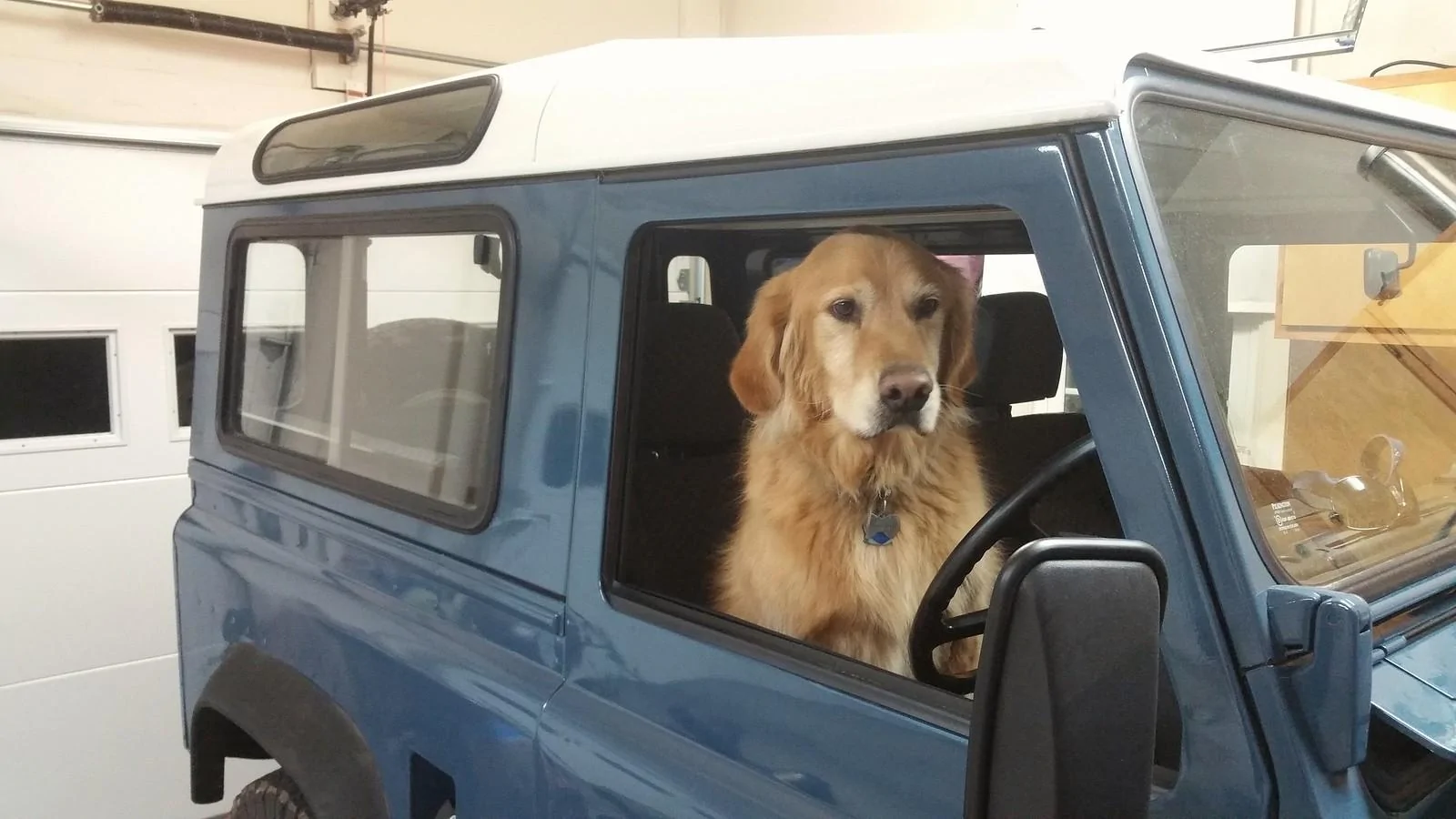 Ford Bronco The Dog Thread 🐾 32806514962_f1ff8161a9_h