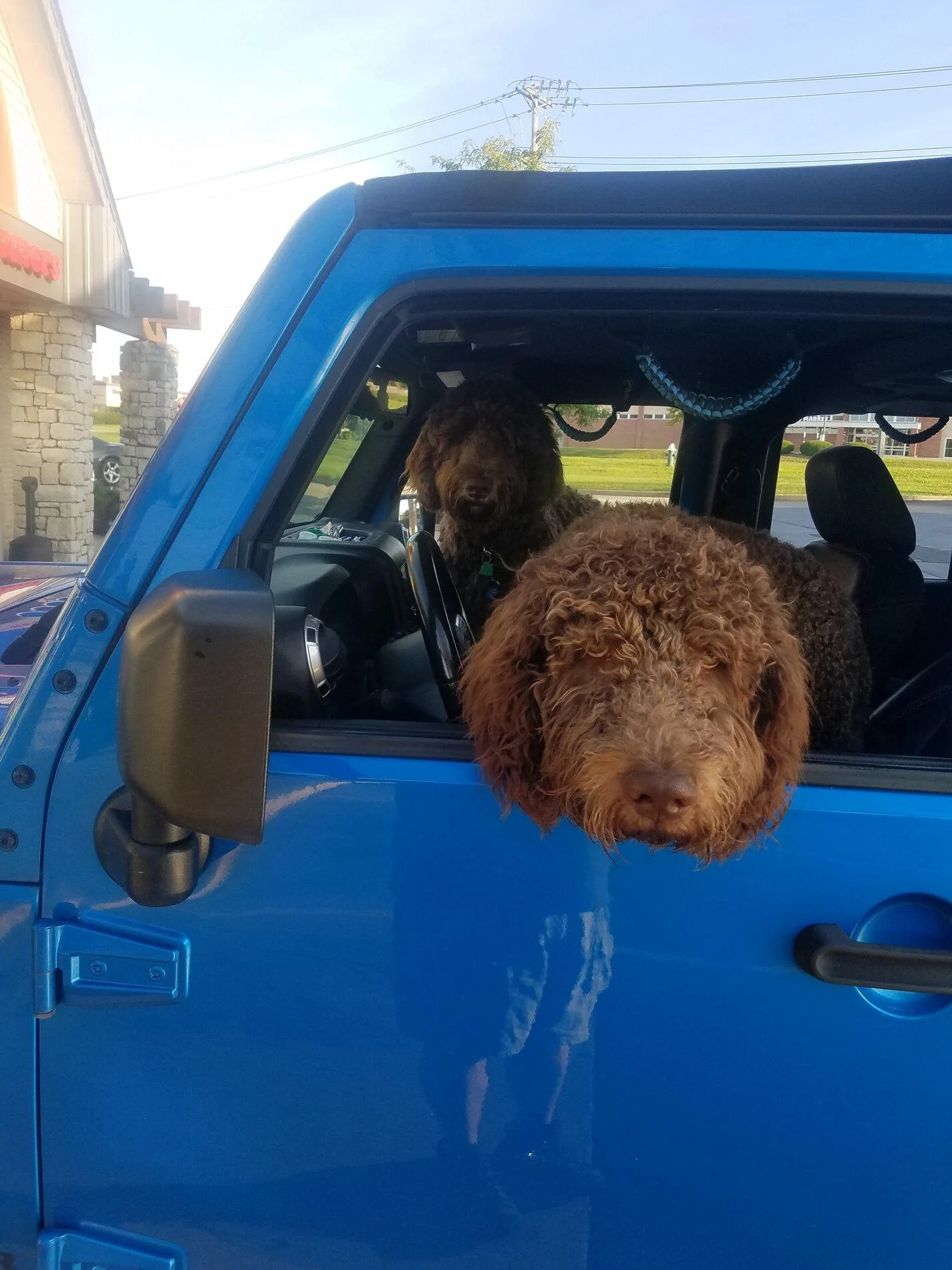 Ford Bronco The Dog Thread 🐾 20190825_081614