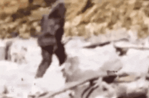 Ford Bronco Test Drive Causing Me to Re-evaluate Patterson-Gimlin film of a Sasquatch