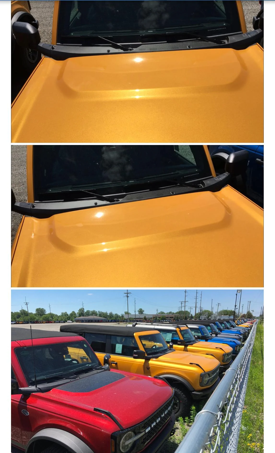 Ford Bronco Cyber Orange vs School Bus side-by-side 8DB30F46-3D65-48C9-B788-1695CE41035A
