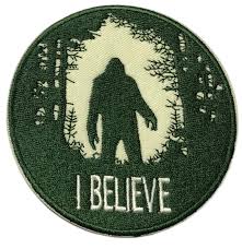 Ford Bronco [DORT MOUNTAIN] - *Badges, Get your Badges* Bronco Top Woes Pick-Me-Ups 1628810820034