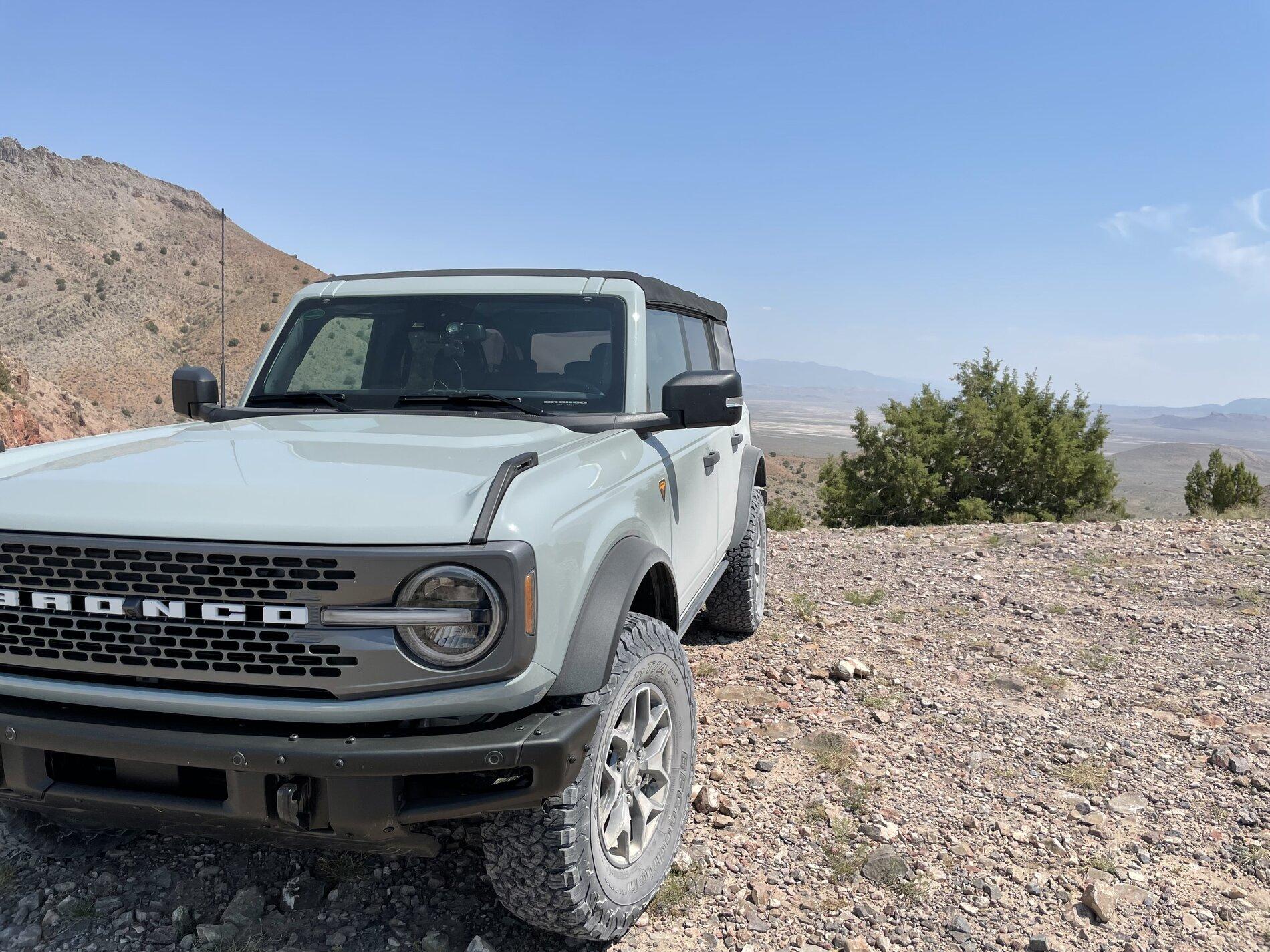 Ford Bronco Bronco spotting in a bronco! IMG_1774